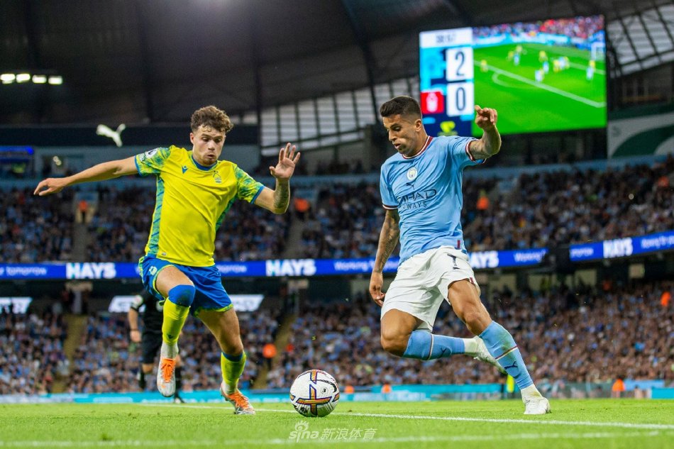 动或者长期 动或者长期